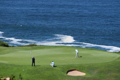 HOGA-Cup-2026-Round-1-3031