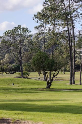 Home-of-Golf-Africa-Knysna-GC-tour-029