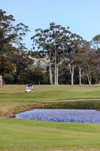 Home-of-Golf-Africa-Knysna-GC-tour-031