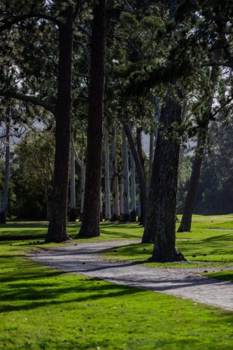 Home-of-Golf-Africa-Knysna-GC-tour-043-1